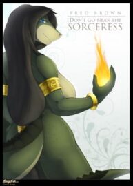 Cover Don’t Go Near The Sorceress