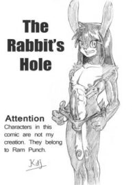 Cover The Rabbit’s Hole