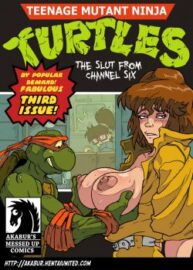 Cover The Slut From Channel Six 3 – Teenage Mutant Ninja Turtles