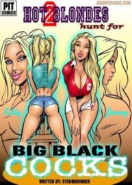 Cover 2 Hot Blondes Hunt For Big Black Cocks