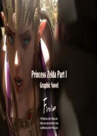 Cover Princess Zelda 1